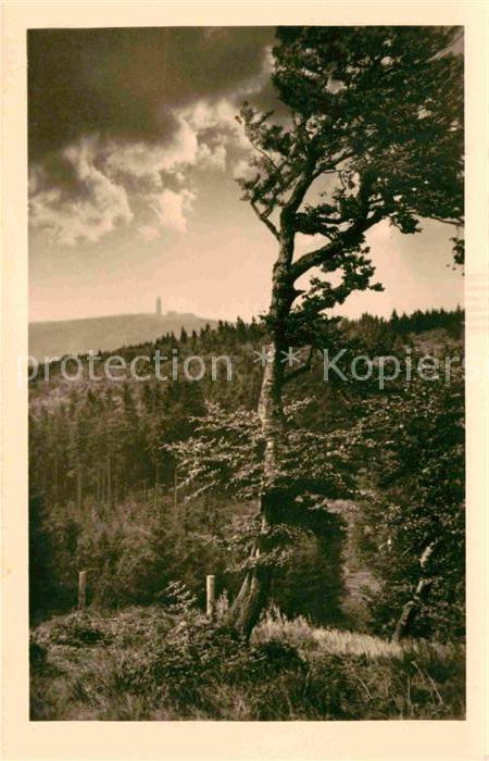 Grosser Inselsberg Blick von der kalten Heide