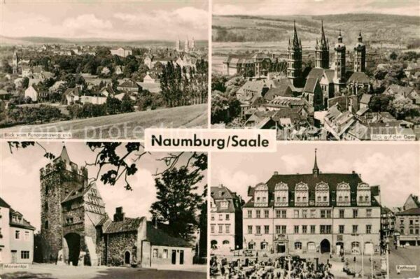 Naumburg Saale Blick vom Panoramaweg Stadtbild mit Dom