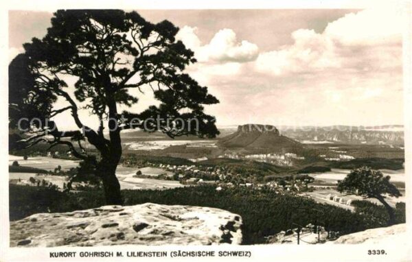 Gohrisch Panorama mit Lilienstein Tafelberg Elbs