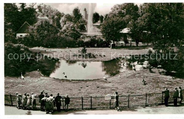 Frankfurt Main Zoologischer Garten Blick auf Vogelwies