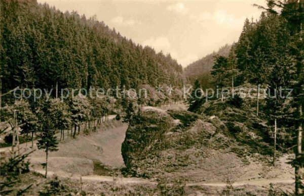 Masserberg Waldpartie Fehrenbacher Schweiz