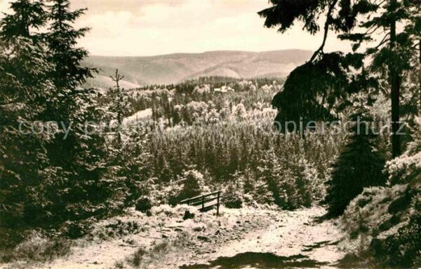Ilmenau Thueringen Blick zum Gabelbach
