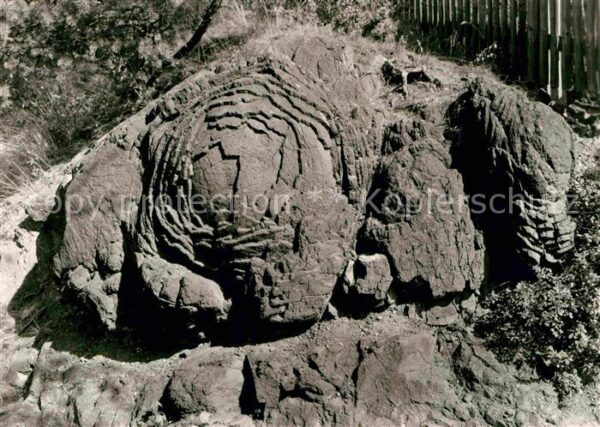 Graefenwarth Steinrose Natur Handabzug