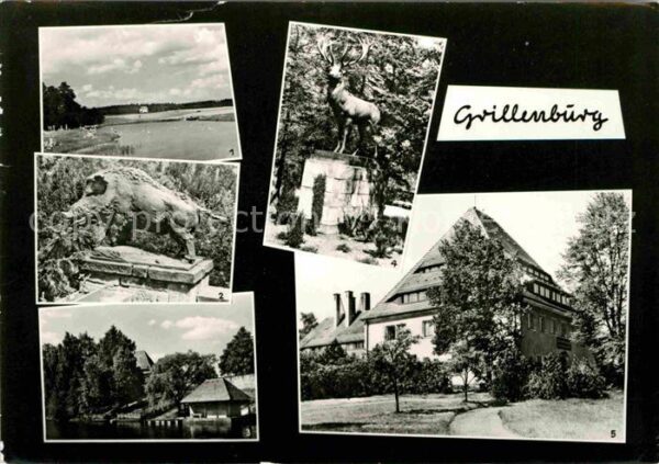 Grillenburg Freibad Wildschein Hirsch Skulpturen Go