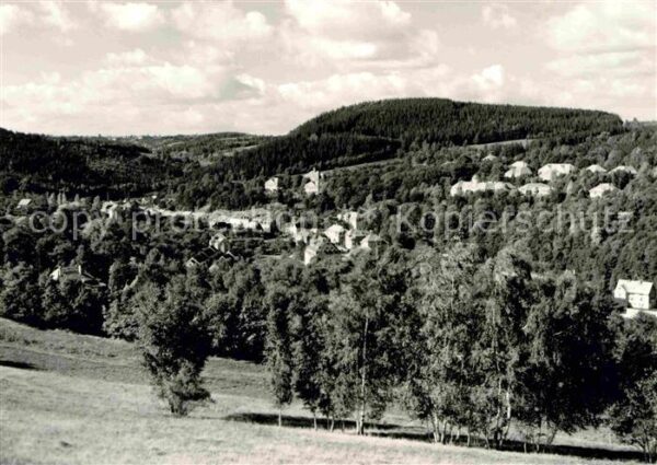 Bad Gottleuba-Berggiesshuebel Panorama