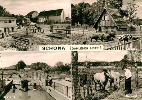 Schoena Soernewitz Freibad Tiergehege Dahlener Heide