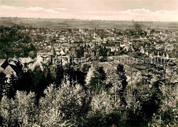 Ilmenau Thueringen Panorama