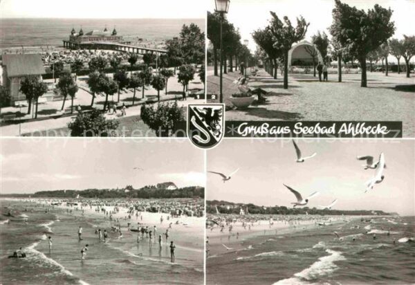 Ahlbeck Ostseebad Konzertplatz Seebrücke Strand Möwen