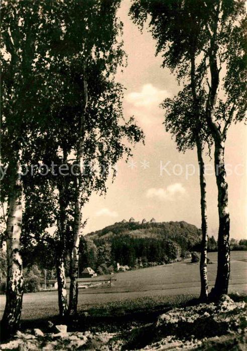 Augustusburg Ansicht vom Waldrand aus Birken