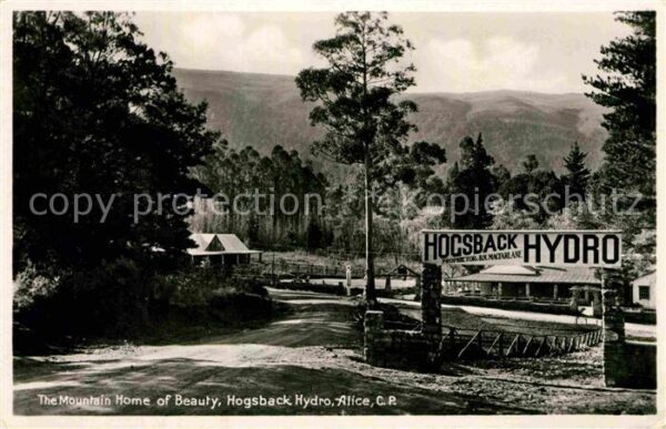 Alice The Mountain Home Hogsback Hydro