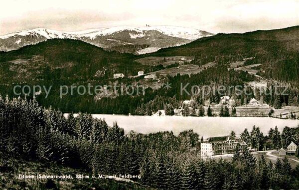 Titisee Panorama