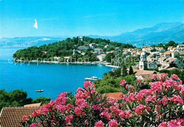 Cavtat Dalmatien Panorama