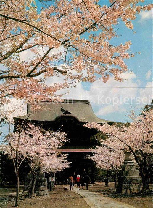 Japan Kencho ji Temple