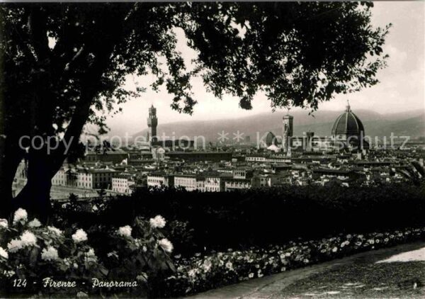 Firenze Florenz Panorama