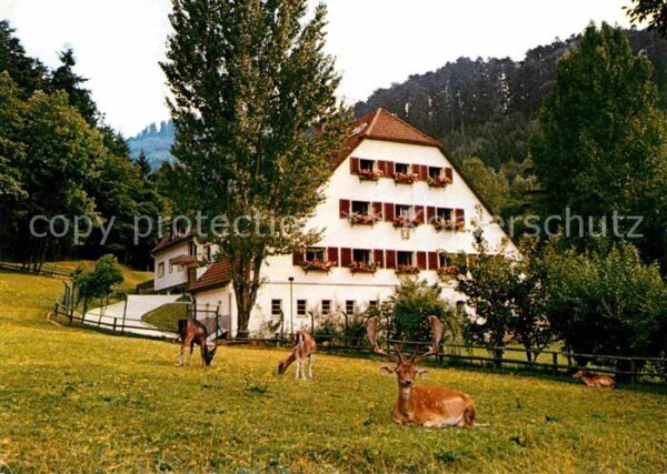 Badenweiler Sanatorium Vogelbachhof Rotwild
