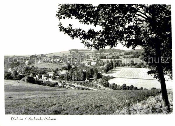Bielatal Panorama