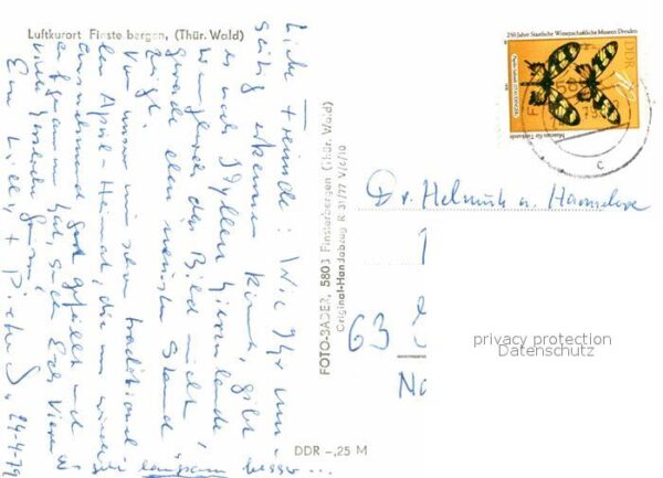 Finsterbergen Kuhhirte – Bild 2