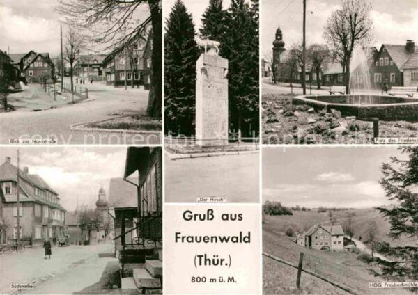 Frauenwald Thueringen Nordstrasse Der Hirsch Platz des Friede
