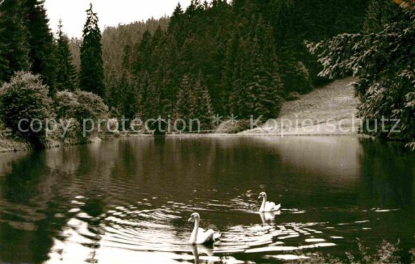 Frankenwald Region Kleiner Waldsee im Rodachtal