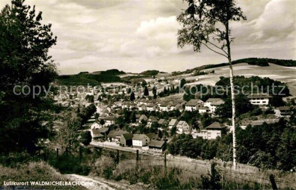 Waldmichelbach Panorama