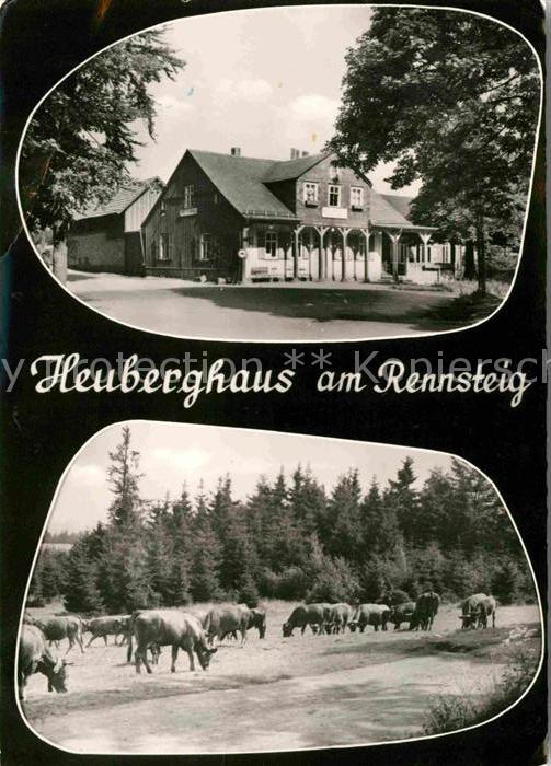 Friedrichroda Heuberghaus Rinderherde