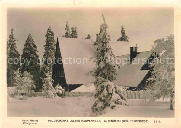 Altenberg Erzgebirge Waldschänke Altes Raupennest