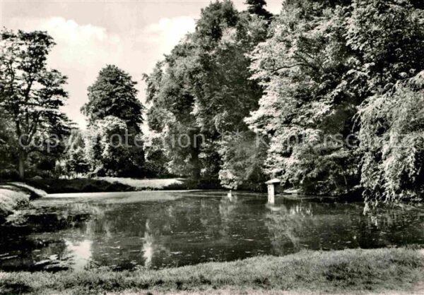 Dahlen Sachsen Schwanenteich im Volkspark