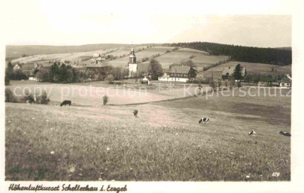 Schellerhau Panorama