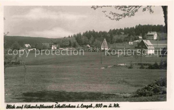Schellerhau Panorama