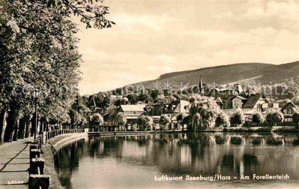 Ilsenburg Harz Forellenteich