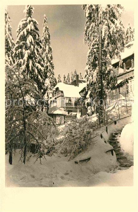 Waldbaerenburg Winterlandschaft Hotel Pension Alexande