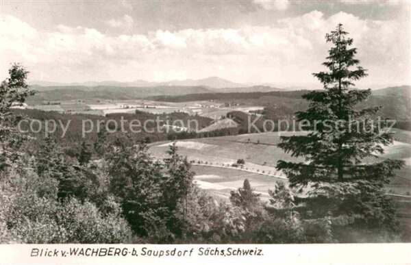 Saupsdorf Wachberg Panorama