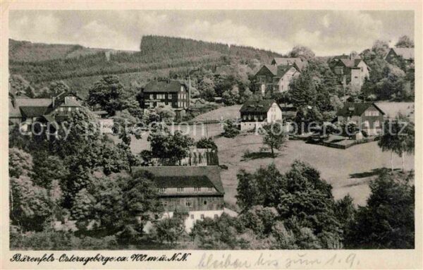 Baerenfels Erzgebirge Ortsansicht Panorama
