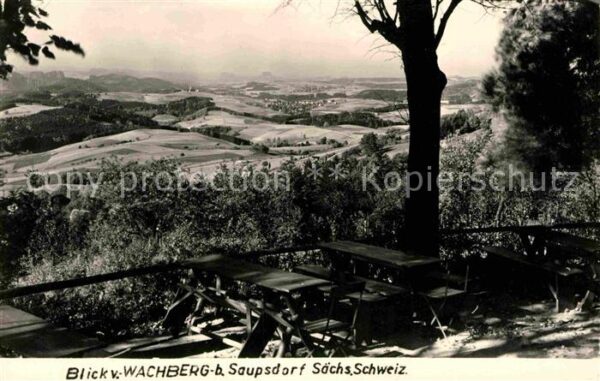 Saupsdorf Wachberg