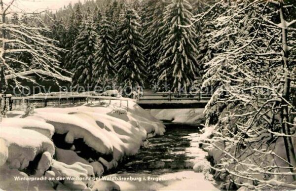 Waldbaerenburg Winter Weißeritz