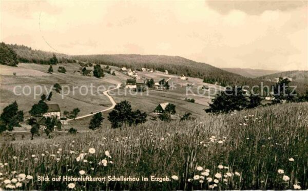 Schellerhau Panorama