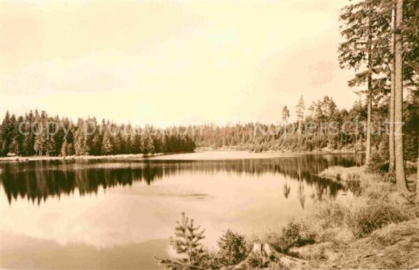 Tannenbergsthal Vogtland Jägersgrün Vogtlandsee