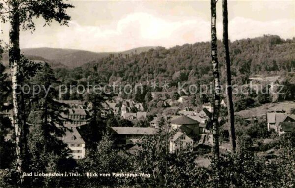 Bad Liebenstein Panorama