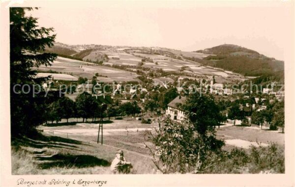 Geising Erzgebirge Bergstadt Panorama