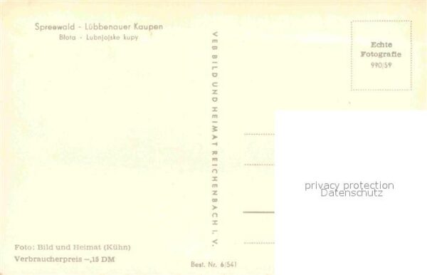 Spreewald Lübbenauer Kaupen – Bild 2
