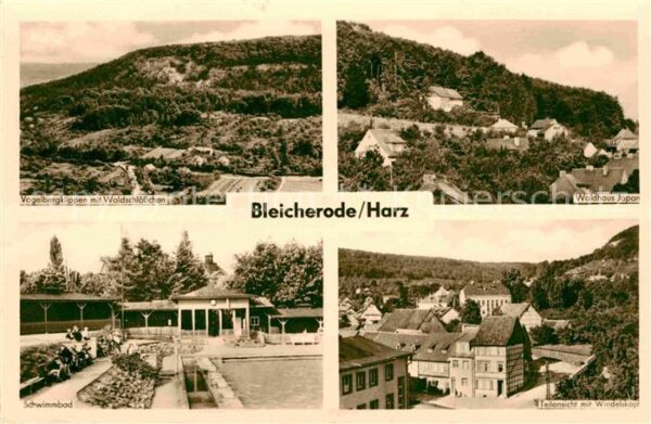 Bleicherode Waldhaus Japan Schwimmbad Vogelbergklip
