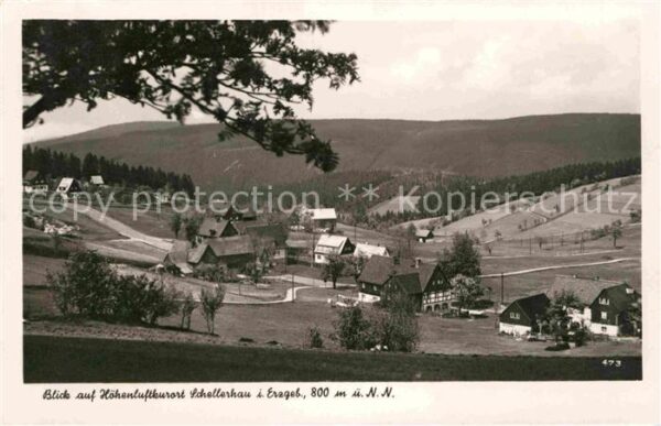 Schellerhau Panorama Luftkurort