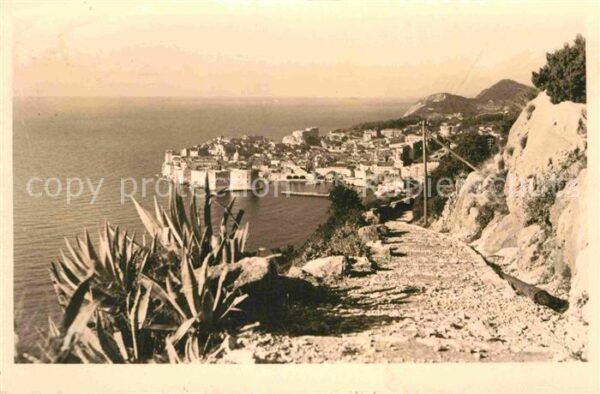Dubrovnik Ragusa Blick auf Hafen und Altstadt