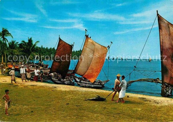 Negombo Catamarans