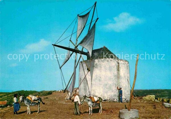 Nazare Portugal Moinho a vento Windmühle