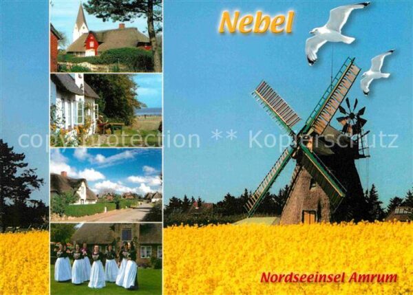 Nebel Amrum Teilansichten Trachten Windmühle Möwen