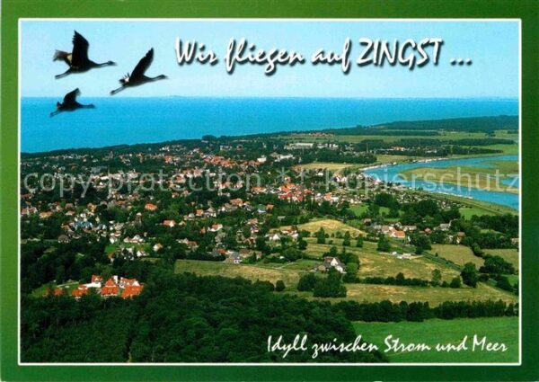 Zingst Ostseebad Schwäne Fliegeraufnahme