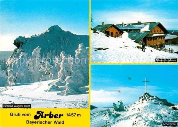 Grosser Arber Richard Wagner Kopf Arberschutzhaus Gip