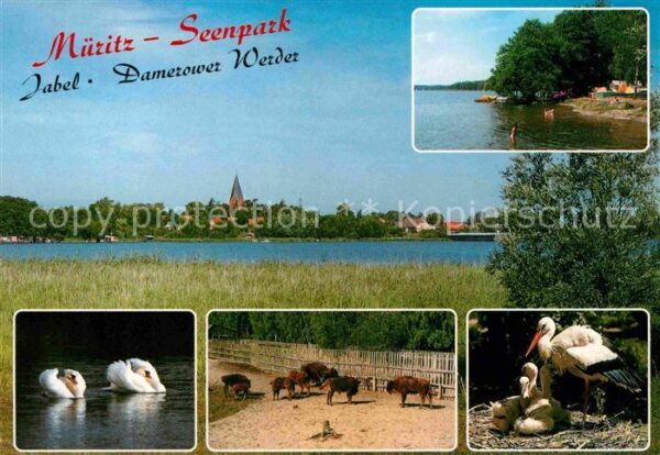 Jabel Waren Müritz Seenpark Campingplatz Schwäne Da