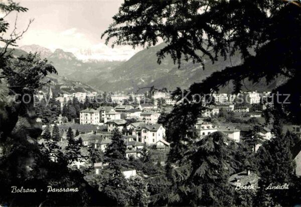 Bolzano Panorama